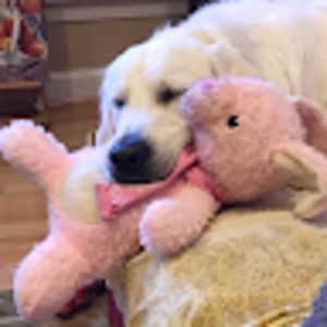 Meet your Posher, Youngmin